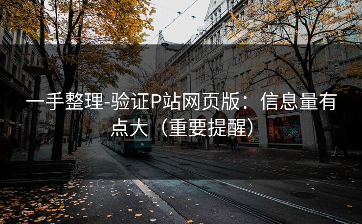 一手整理-验证P站网页版：信息量有点大（重要提醒）